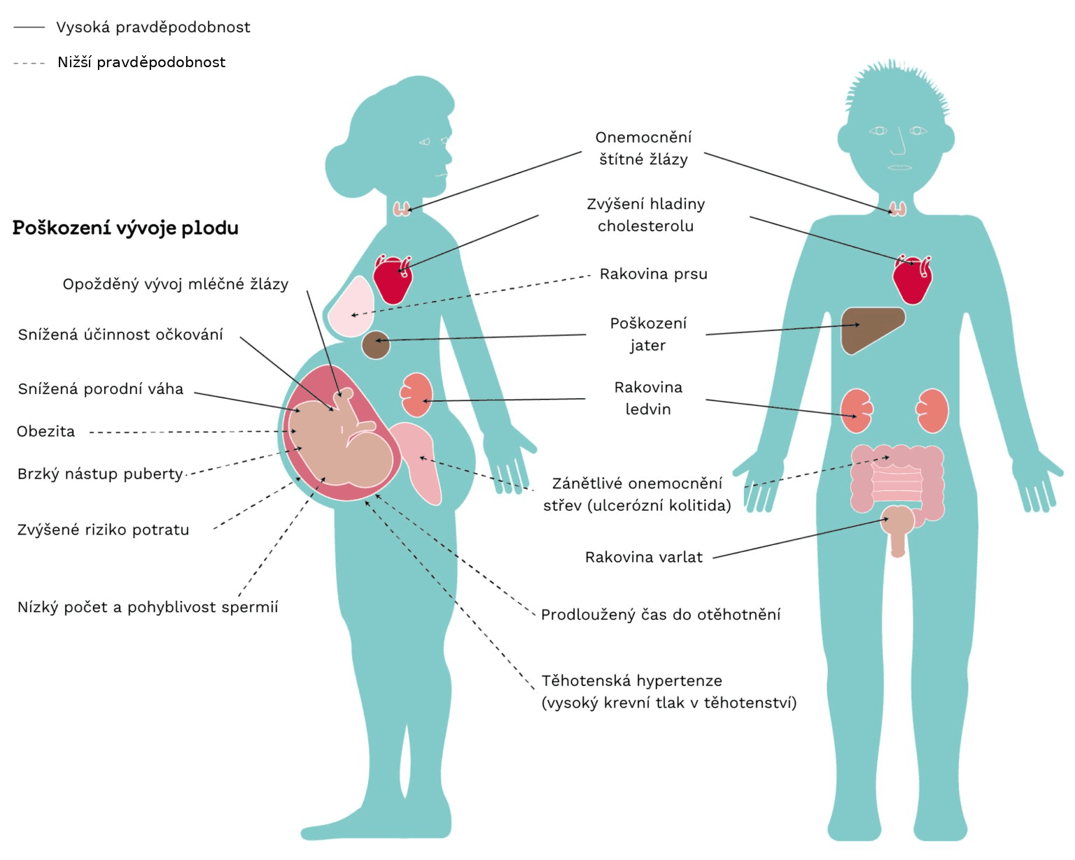 Schéma účinků PFAS na lidské zdraví – orgány a tělesné systémy zasažené PFAS